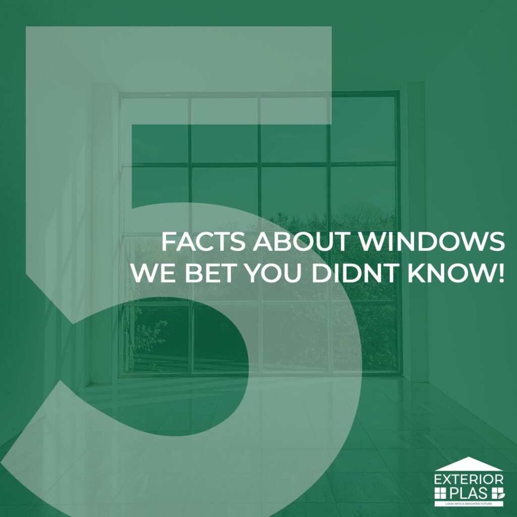 five window facts
